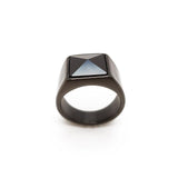 Sleek men's crystal ring in stainless steel, perfect as a stylish gift for any occasion.